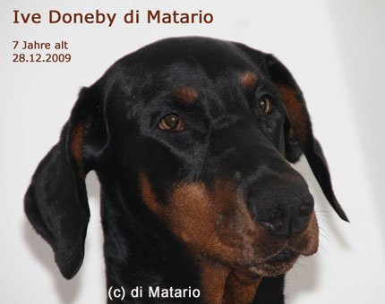 Ive Doneby di Matario Dobermann