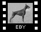 Eby